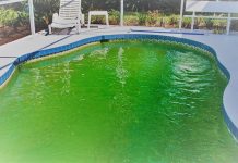 verde agua